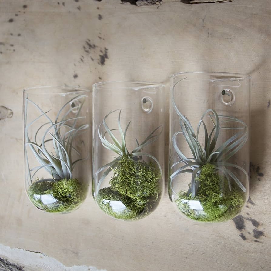 Hudson Wall Mount Cup Vase