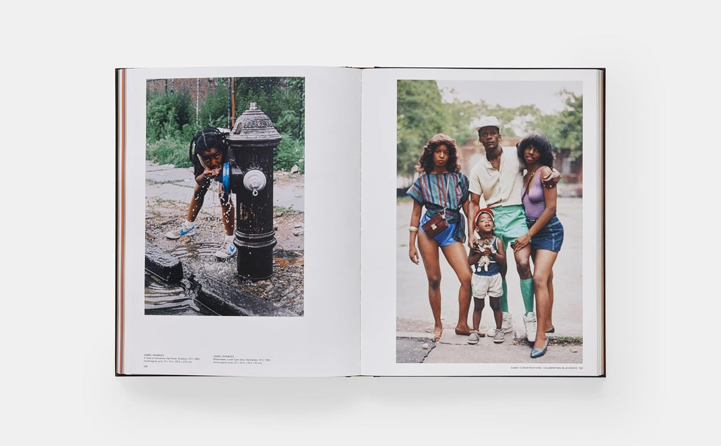 Giants: Art from the Dean Collection of Swiss Beatz and Alicia Keys