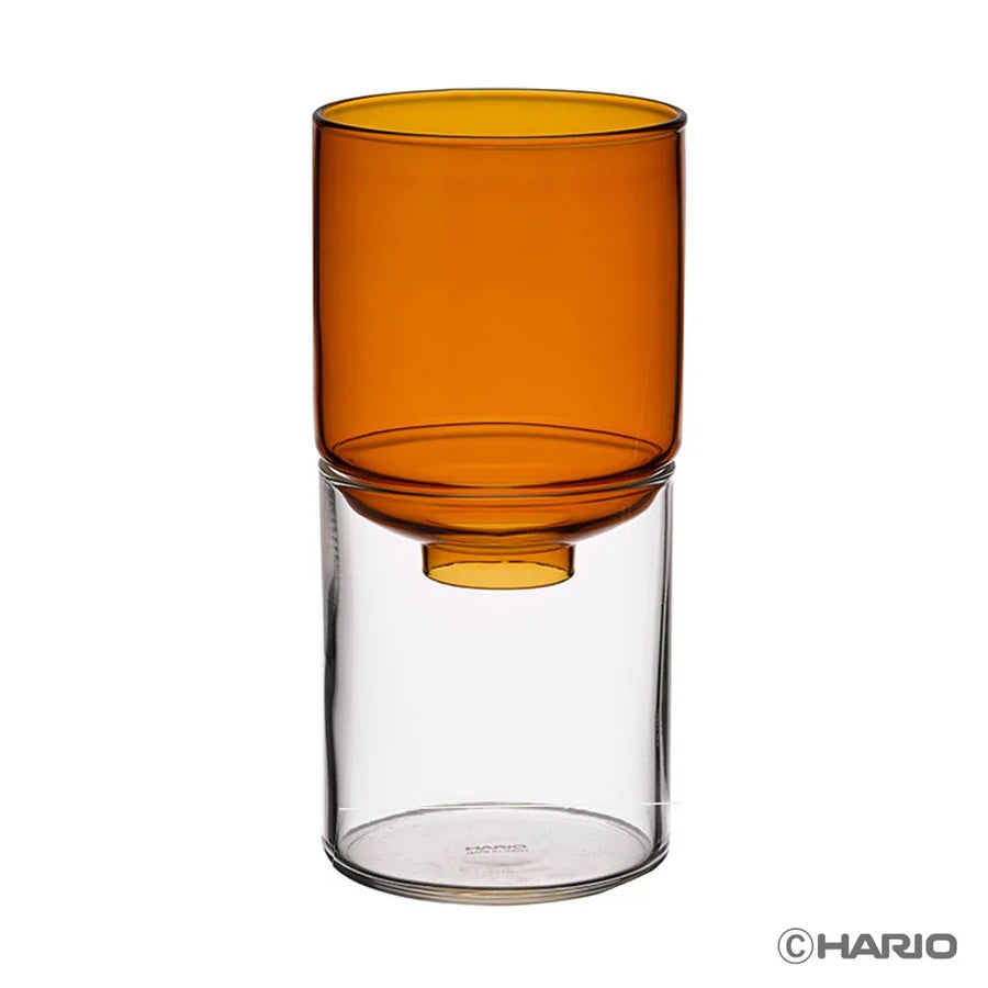 Glass Flower Vase