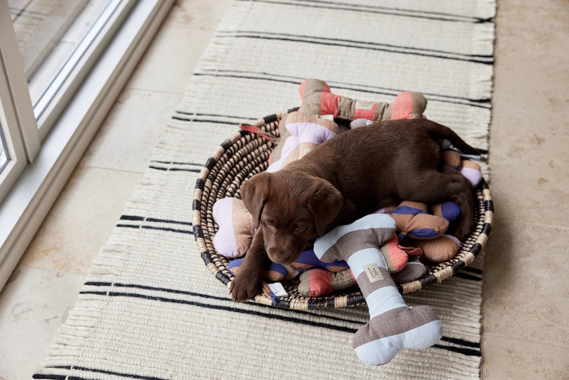 Ashi Dog Toy