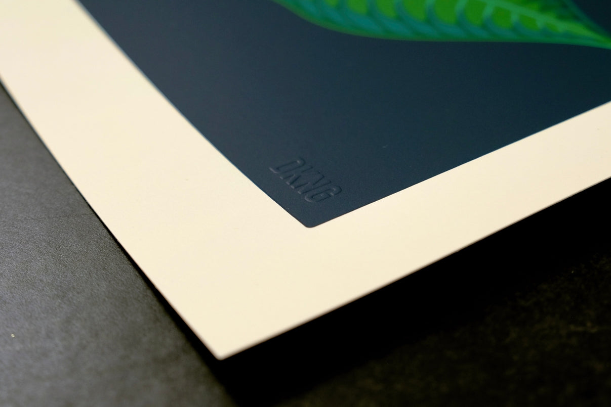 Bird of Paradise, 18" X 24" Print