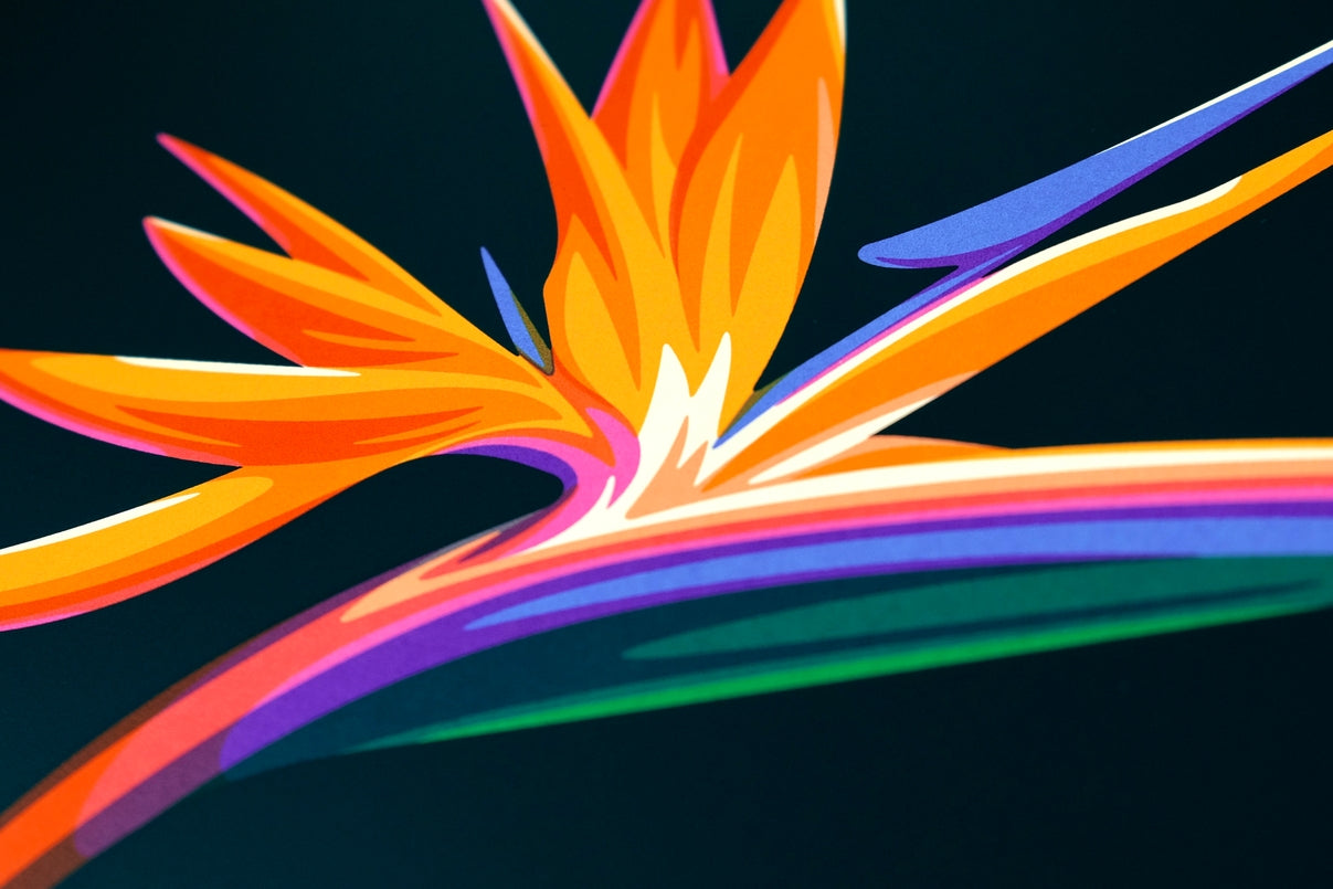 Bird of Paradise, 18" X 24" Print