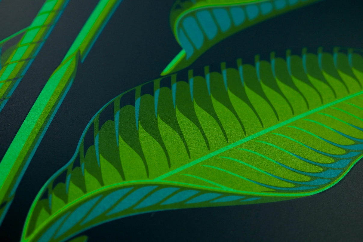 Bird of Paradise, 18" X 24" Print