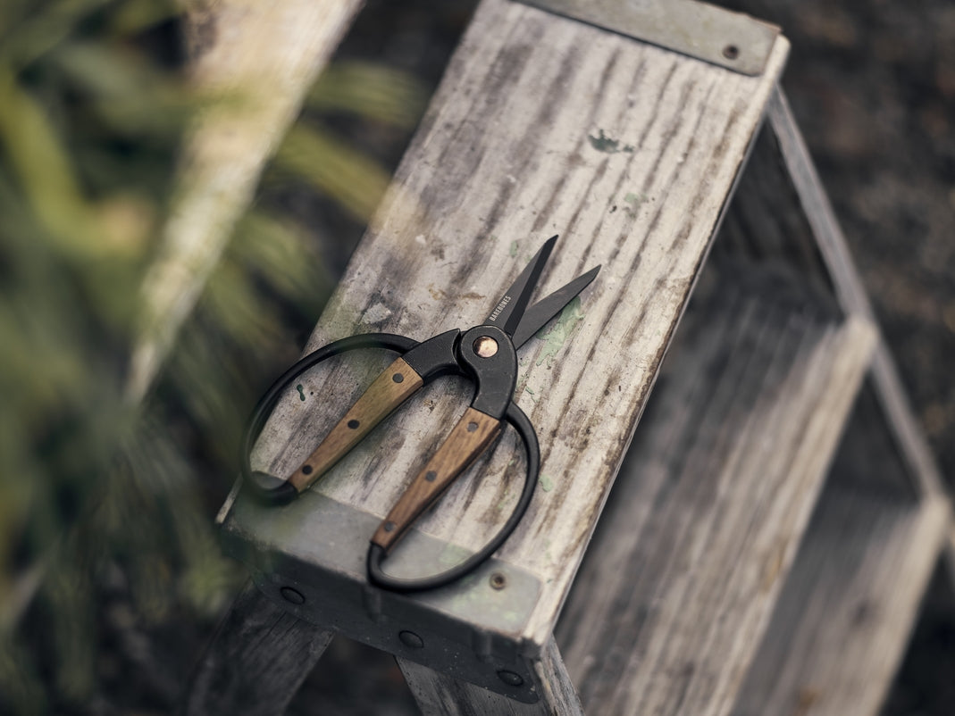 Garden Scissors