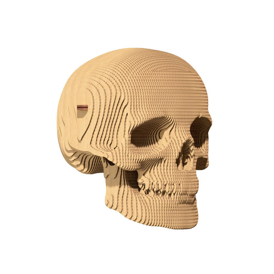 3D Puzzle, Skull