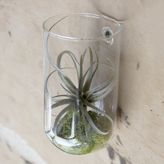 Hudson Wall Mount Cup Vase