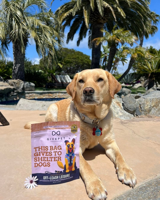 Off-Leash Soft and Chewy Trainers