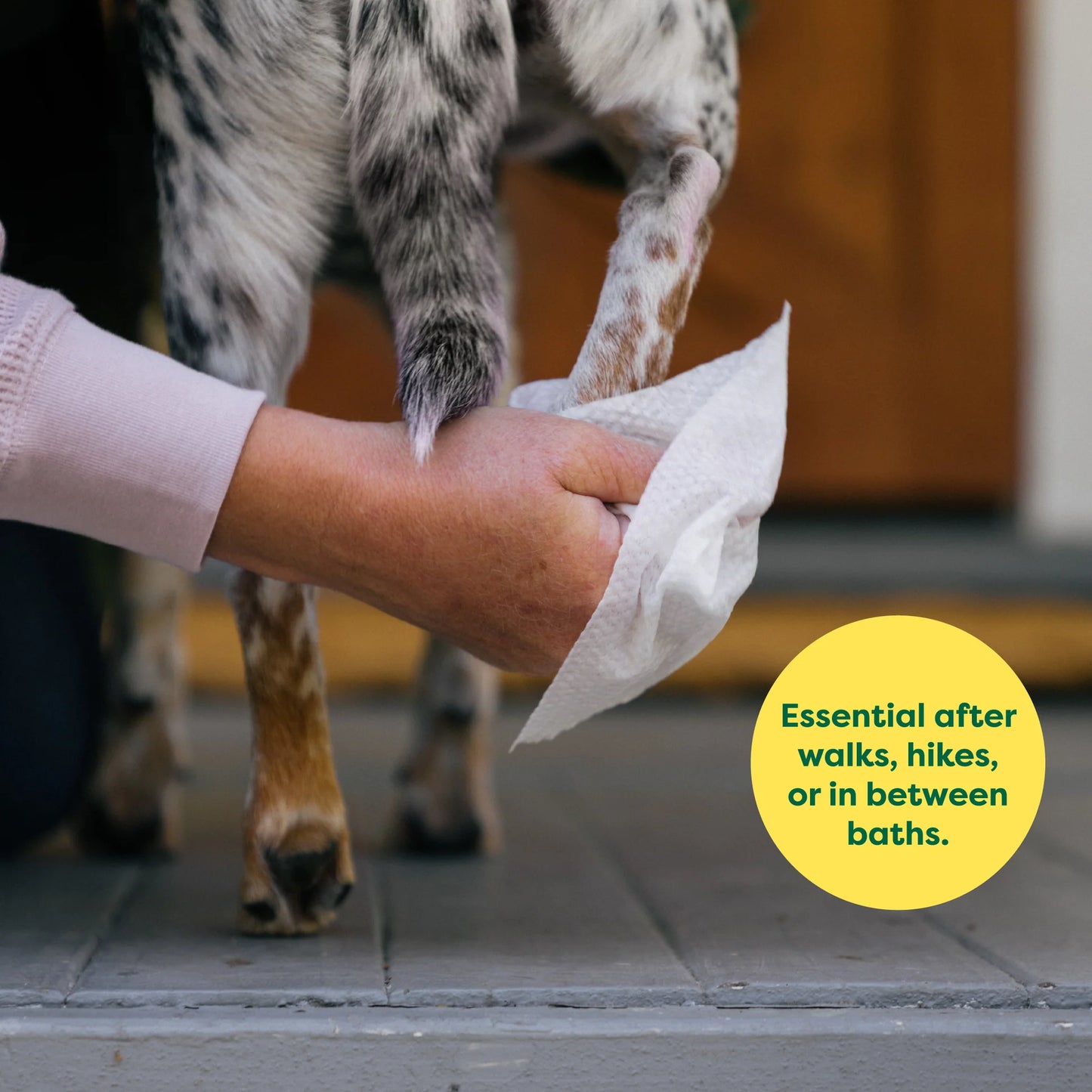 Dog Wipes - Lavender