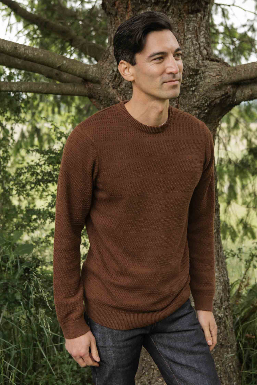 Calder Sweater in Walnut