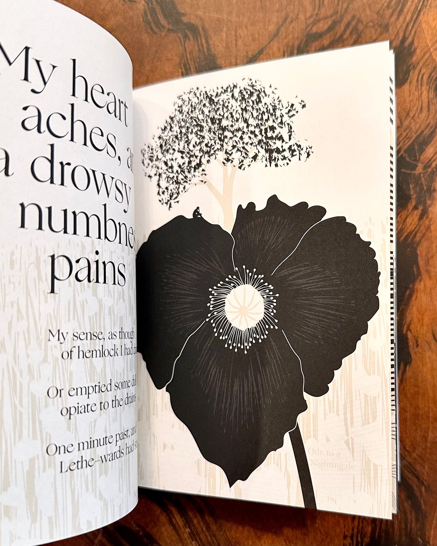 John Keats Illustrated Book