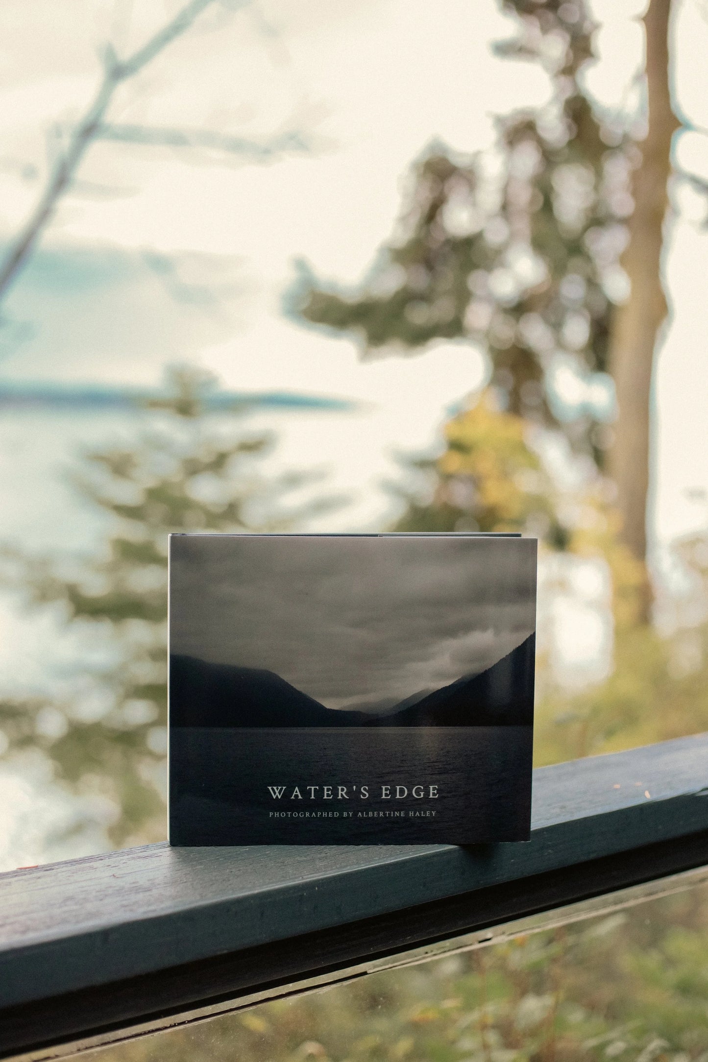 Water's Edge