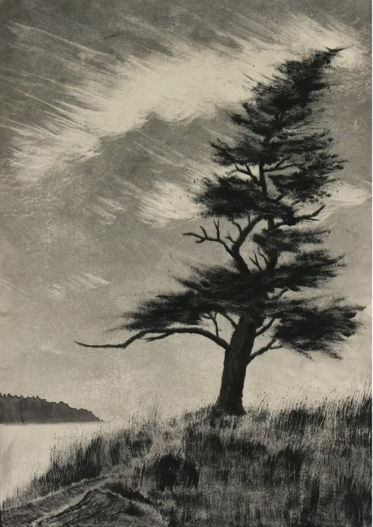 Coastal Fir - 12"x17"