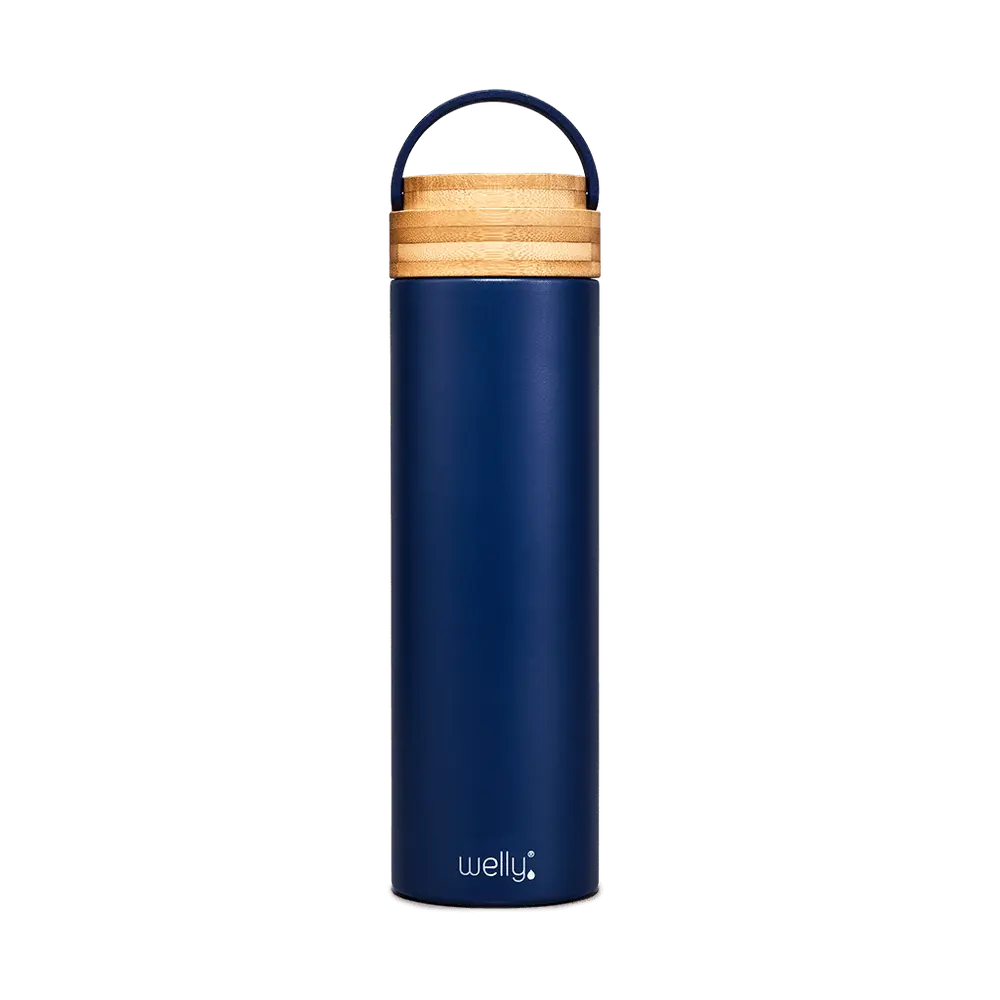 Traveler 20oz Steel Bottle