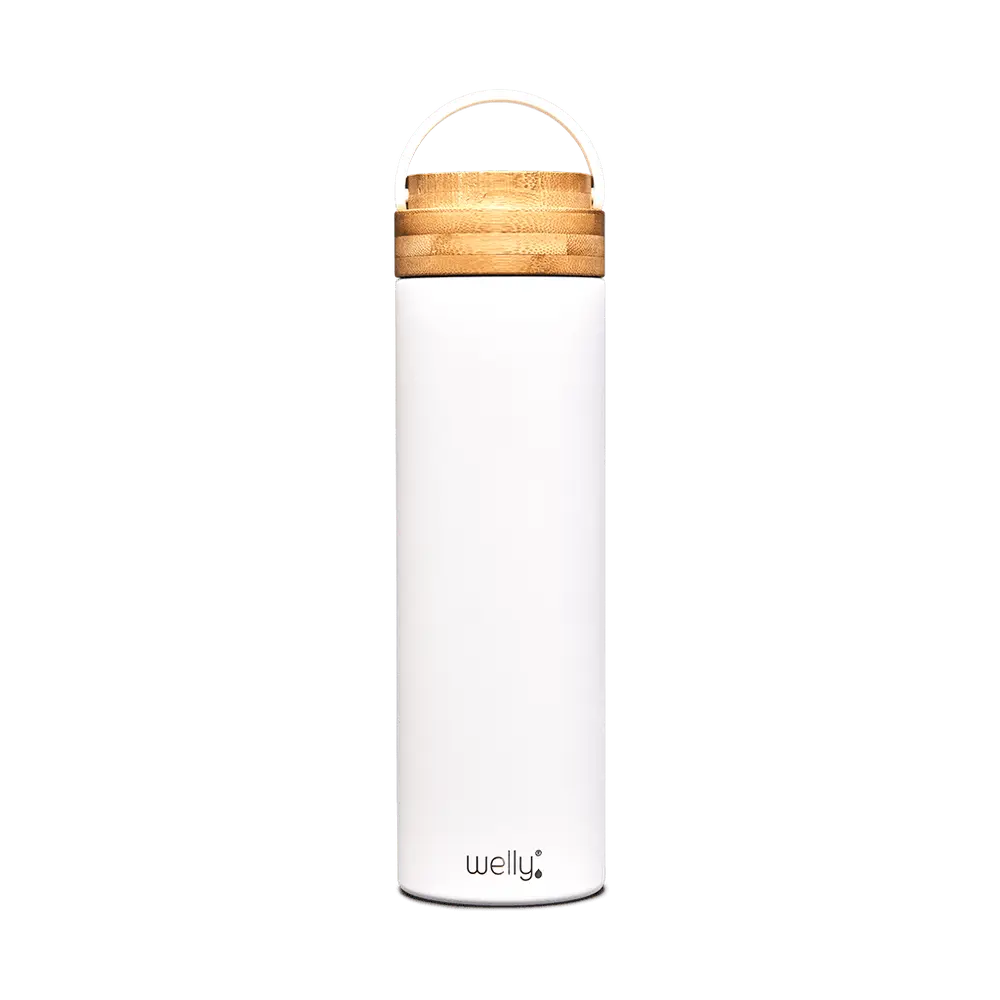 Traveler 20oz Steel Bottle