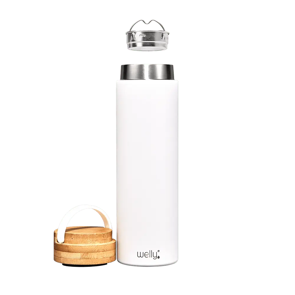 Traveler 20oz Steel Bottle