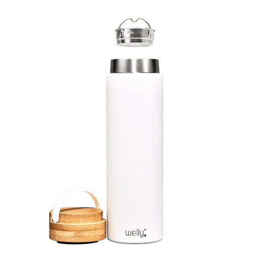 Traveler 20oz Steel Bottle