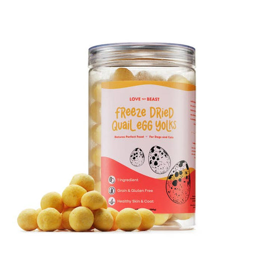 Freeze Dried Quail Egg Yolk Treats