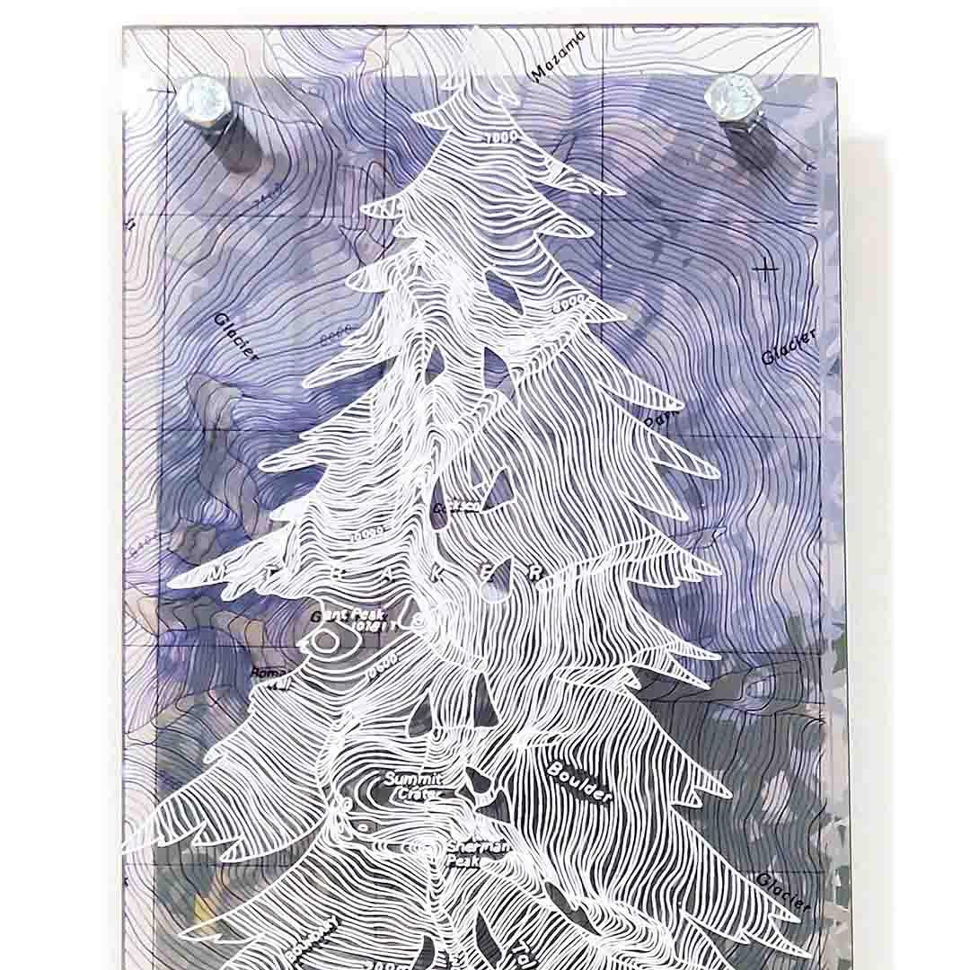Mt Baker Tree, 6x16