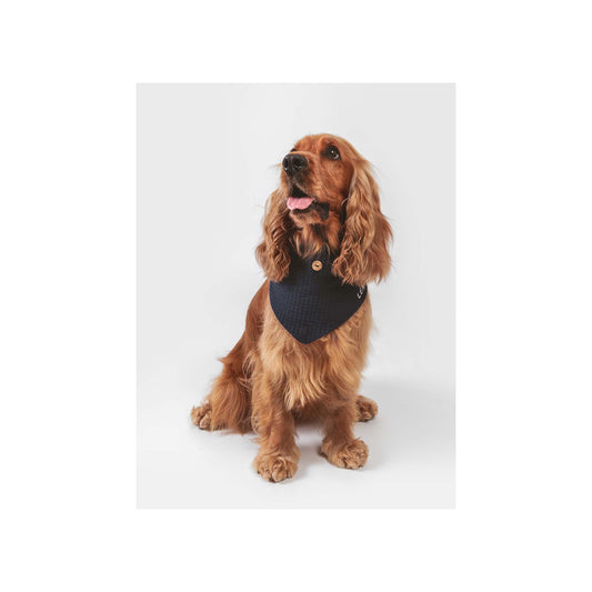 Dog Waffle Bandana
