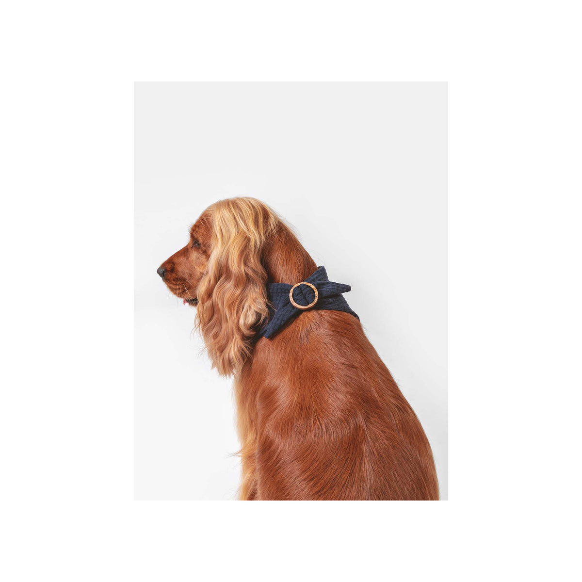 Dog Waffle Bandana