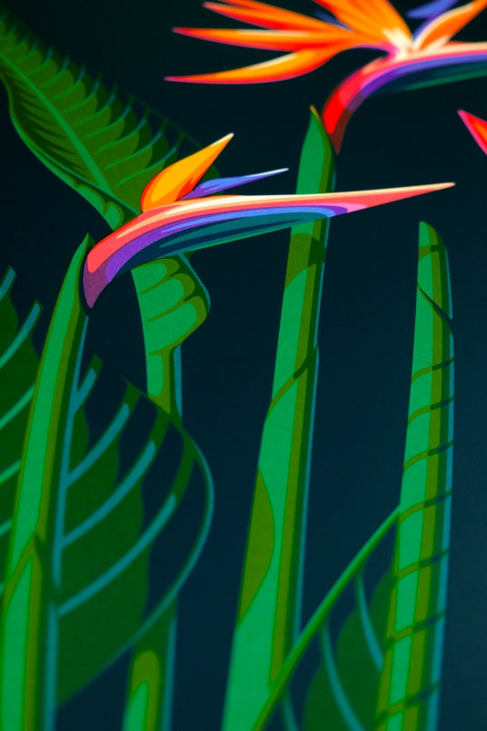 Bird of Paradise, 18" X 24" Print