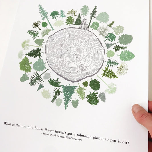 USA Tree Rings + Thoreau Art Print 11x14