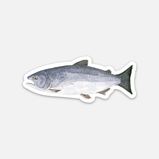 Chinook Salmon Sticker